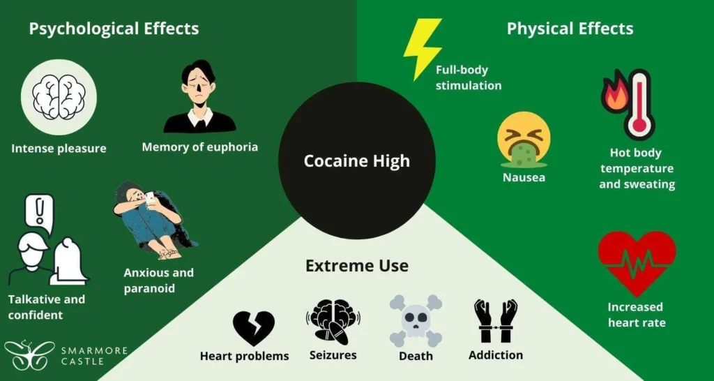 Explore the escalating impact of cocaine on public health in 2026. This comprehensive report analyzes cocaine overdose statistics USA, the economic burden of cocaine addiction, and the urgent cocaine addiction public health crisis reshaping modern healthcare.