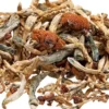 How To Buy Psilocybin Mushrooms