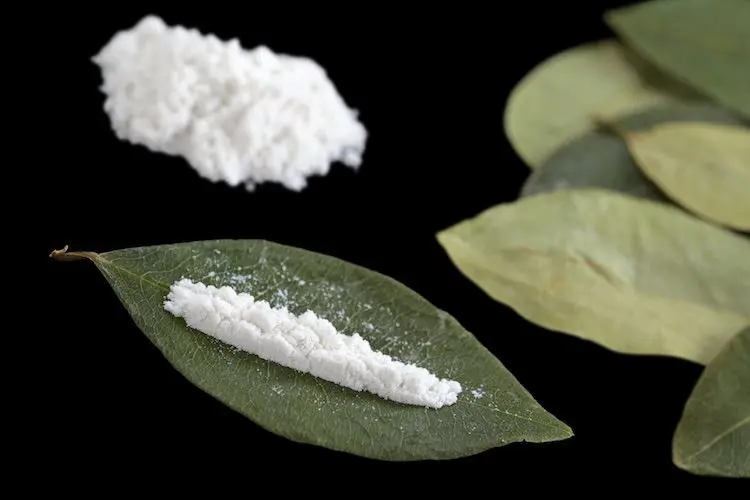 Where To Buy Cocaine